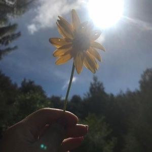 Meet your Posher, Marlen